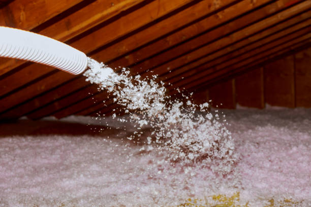 Types of Insulation We Offer in Shreveport, LA