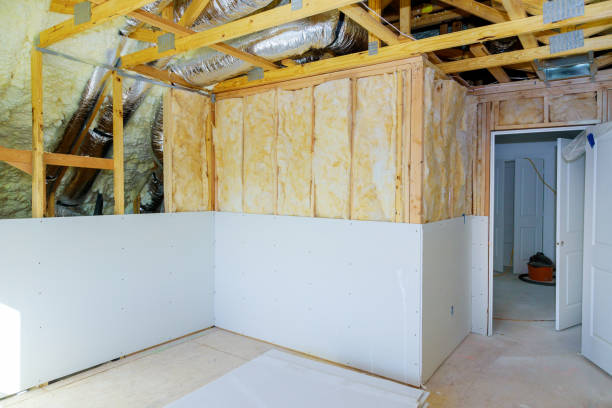 Best Geographic-Specific Insulation Services in Shreveport, LA